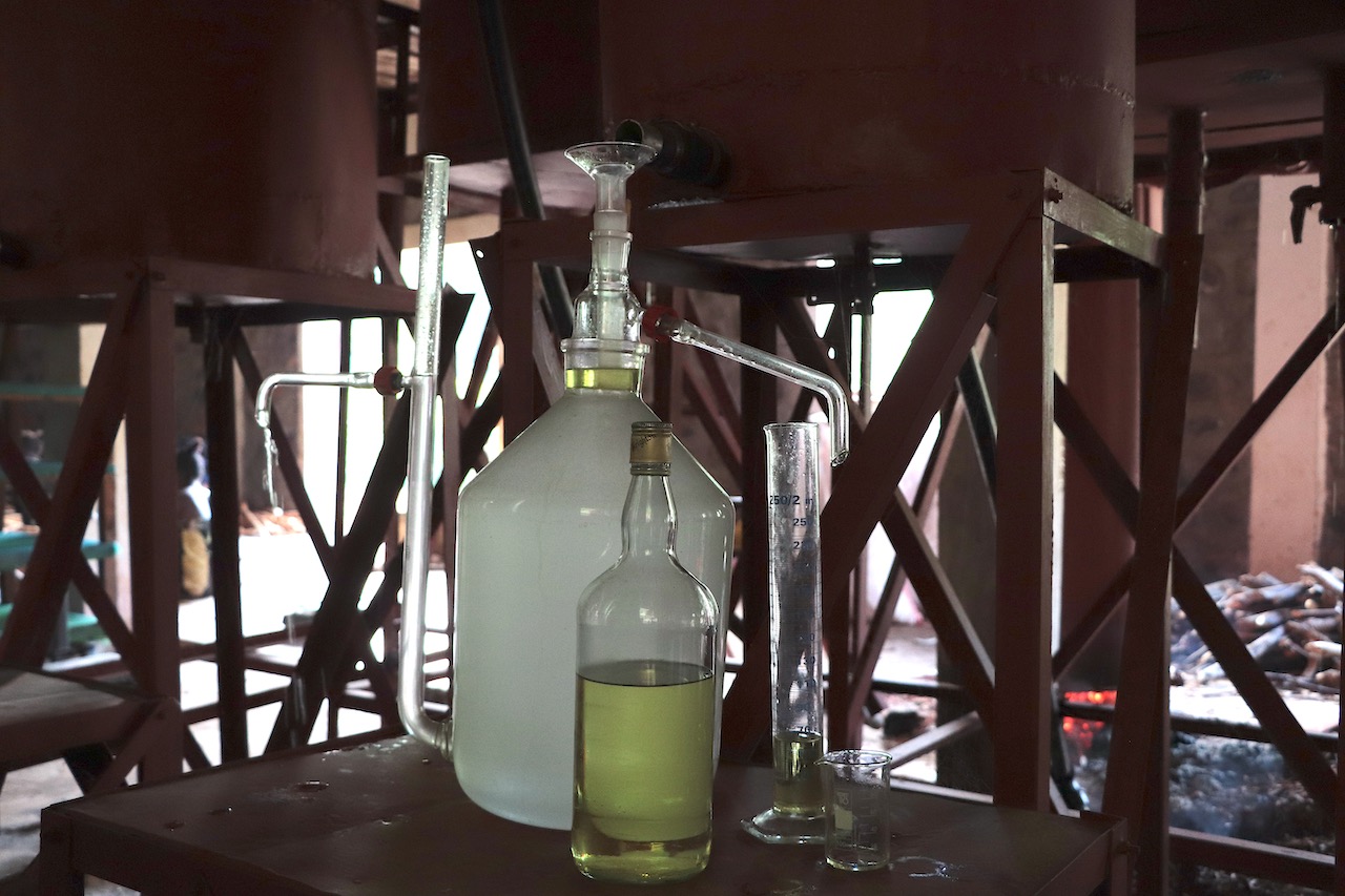 Distillation Cannelle