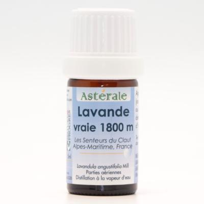 Huile Essentielle Lavande Vraie 1800 m  | 5 ml