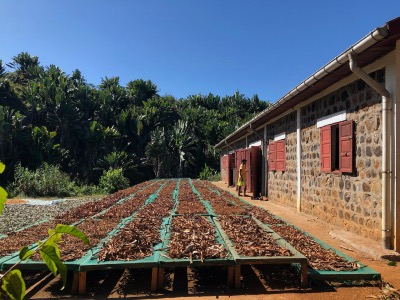 Schage de la Cannelle au Domaine d'Ambohitsara