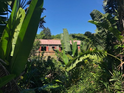 Distillerie du Domaine d'Ambohitsara